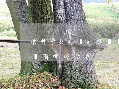 信用卡欠4萬4年沒還(欠信用卡四萬一年沒還有哪些后果)