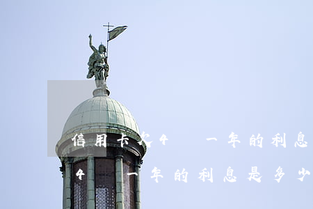 信用卡欠4萬一年的利息是多少-信用卡欠4萬一年的利息是多少錢