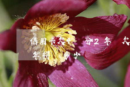 信用卡欠4萬分2年還(欠信用卡4萬逾期1年得還多少)