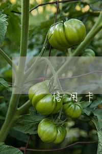 信用卡欠4萬塊 欠信用卡四萬