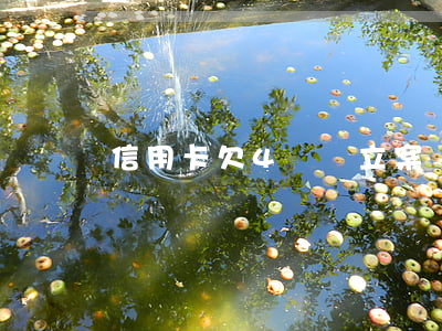 信用卡欠4萬會立案嗎-欠信用卡4萬怎么辦