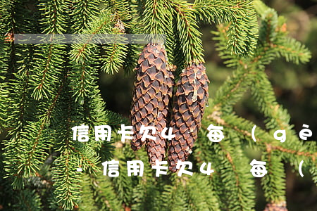 信用卡欠4萬每個(gè)月最低還款多少-信用卡欠4萬每個(gè)月最低還款多少錢