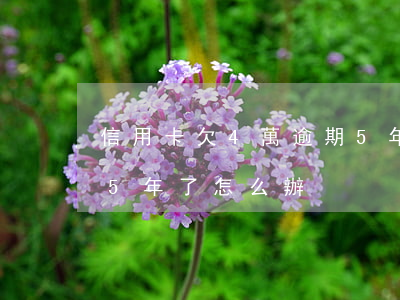 信用卡欠4萬逾期5年了(信用卡欠4萬逾期5年了怎么辦)