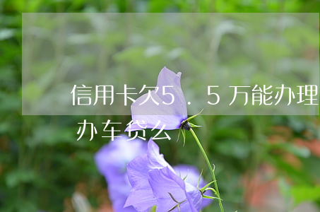 信用卡欠5.5万能办理车贷吗(欠信用卡能办车贷么)