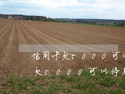 信用卡欠5000可以停息掛賬嗎-信用卡欠5000可以停息掛賬嗎知乎