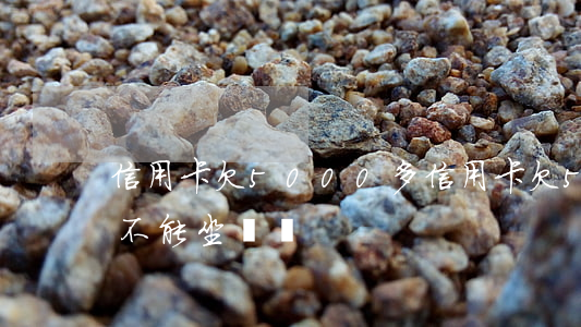 信用卡欠5000多(信用卡欠5000多久不能坐飛機)