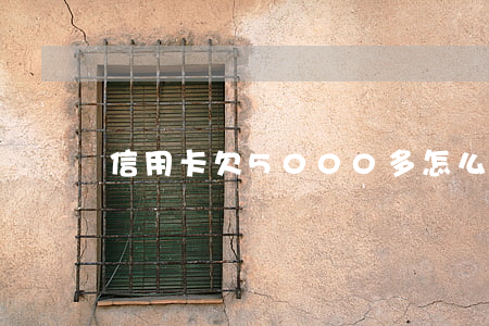 信用卡欠5000多怎么辦