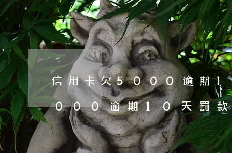 信用卡欠5000逾期10多天-信用卡5000逾期10天罰款多少