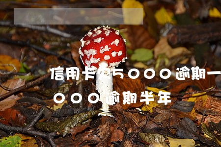 信用卡欠5000逾期一年没还(欠信用卡9000逾期半年)