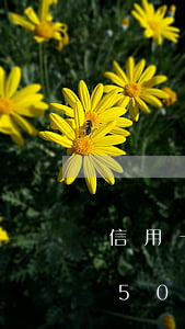 信用卡欠5000逾期利息多少-信用卡欠5000逾期利息多少錢