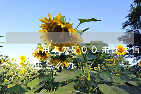 信用卡欠500未还 欠信用卡500块钱不还怎么办