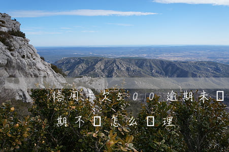 信用卡欠500逾期未還(信用卡欠500逾期不還怎么處理)