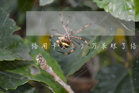 信用卡欠50万呆账了(信用卡欠50万呆账了)