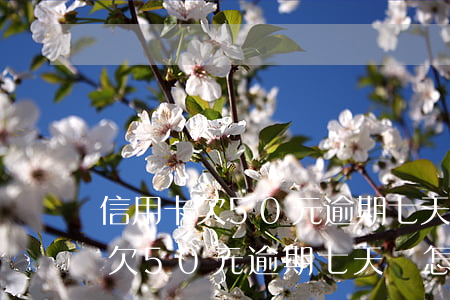 信用卡欠50元逾期七天會怎么樣-信用卡欠50元逾期七天會怎么樣嗎