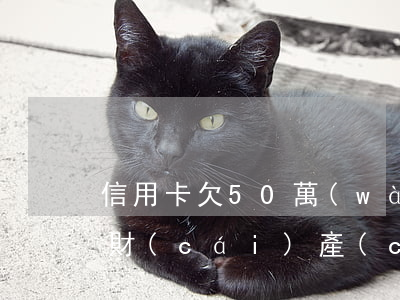 信用卡欠50萬(wàn)名下無(wú)財(cái)產(chǎn)