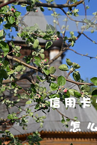 信用卡欠50萬(wàn)無(wú)力償還怎么處理(欠信用卡50萬(wàn)還不起怎么辦)