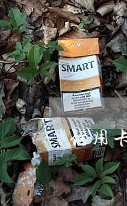 信用卡欠50萬利息(欠信用卡五十萬)