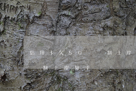 信用卡欠50萬強制上岸-信用卡欠50萬強制上岸知乎