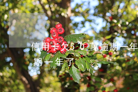 信用卡欠50萬逾期一年(欠信用卡一萬多逾期一年了)