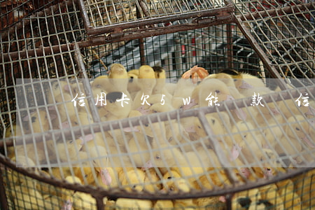 信用卡欠5w能貸款嗎 信用卡欠5w能貸款嗎