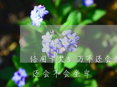 信用卡欠5万不还会坐牢(信用卡超过五万不还会不会坐牢)