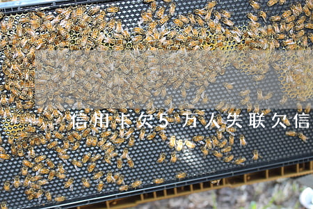信用卡欠5万人失联(欠信用卡失联了怎么办)