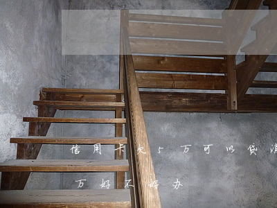 信用卡欠5万可以贷消费贷么(银行消费贷五万好不好办)