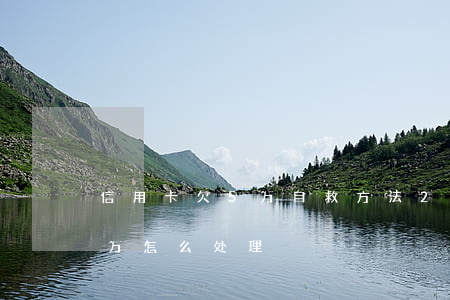 信用卡欠5万自救方法 25万-欠信用卡5万怎么处理