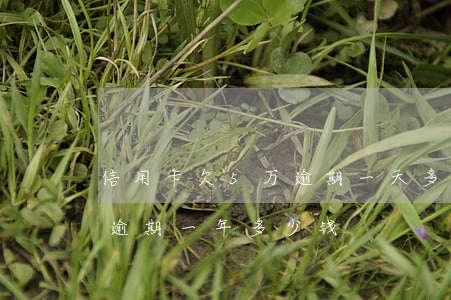信用卡欠5万逾期一天多少钱(欠五万信用卡逾期一年多少钱)