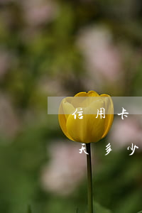 信用卡欠5元逾期一周-信用卡5萬逾期一天多少錢