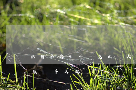 信用卡欠5千會怎么樣(欠信用卡5千多塊一般會多久起訴)