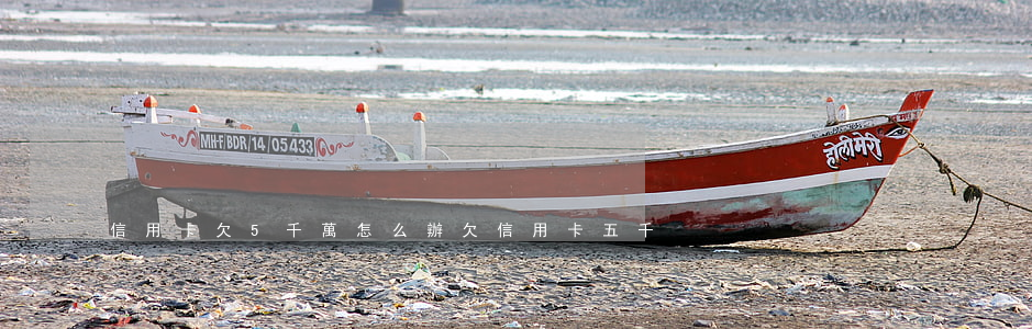 信用卡欠5千萬怎么辦(欠信用卡五千)