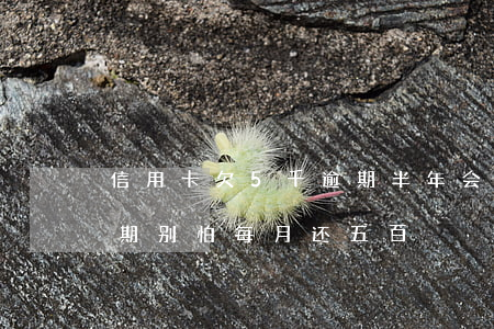 信用卡欠5千逾期半年会怎么样(欠信用卡逾期别怕每月还五百)