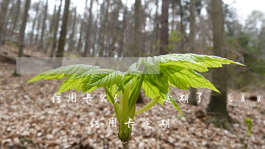 信用卡欠5塊錢逾期了會(huì)怎樣 幾塊錢信用卡逾期