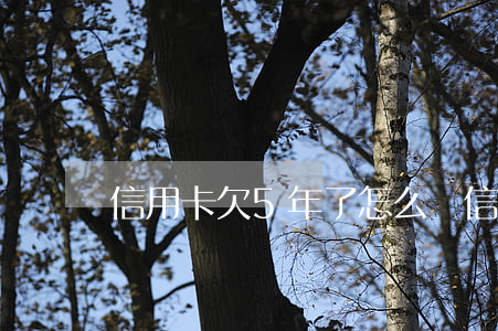 信用卡欠5年了怎么還(信用卡欠5年了怎么還)