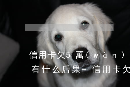 信用卡欠5萬(wàn)以上會(huì)有什么后果-信用卡欠5萬(wàn)以上會(huì)有什么后果呢