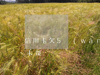 信用卡欠5萬(wàn)影響車貸么(欠信用卡能車貸嗎)
