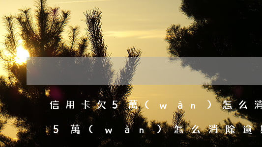 信用卡欠5萬(wàn)怎么消除(信用卡欠5萬(wàn)怎么消除逾期記錄)