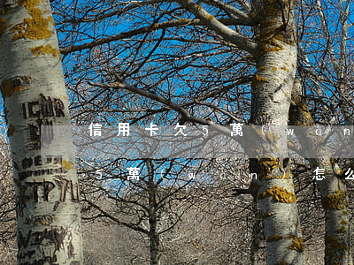 信用卡欠5萬(wàn)怎么起訴(信用卡欠5萬(wàn)怎么起訴的)