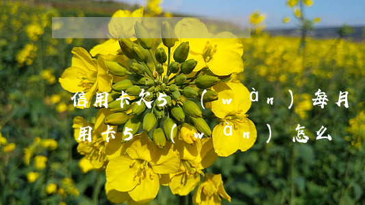 信用卡欠5萬(wàn)每月還100(欠信用卡5萬(wàn)怎么還)