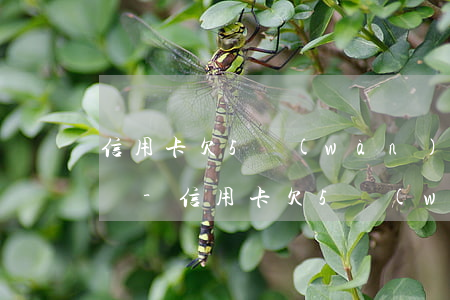 信用卡欠5萬(wàn)起訴一共得還多少錢-信用卡欠5萬(wàn)起訴一共得還多少錢呢