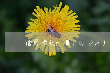 信用卡欠5萬(wàn)還的好累