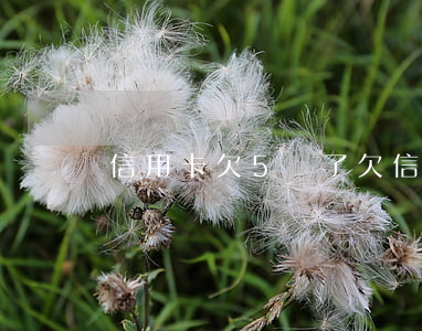 信用卡欠5萬了 欠信用卡5萬算多嗎