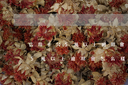 信用卡欠5萬以上逾期會怎么樣-信用卡欠5萬以上逾期會怎么樣嗎