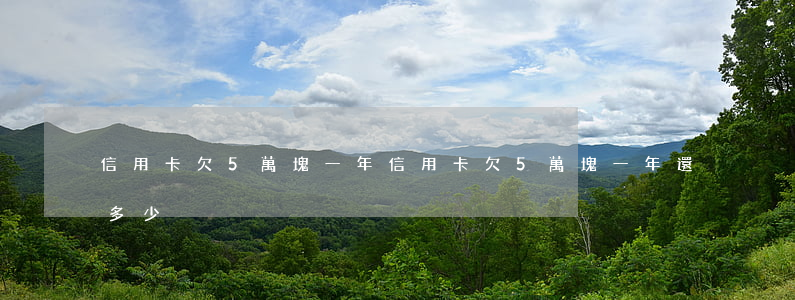 信用卡欠5萬塊一年(信用卡欠5萬塊一年還多少)