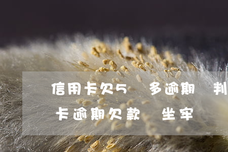 信用卡欠5萬多逾期會判刑嗎(5萬以上信用卡逾期欠款會坐牢嗎)