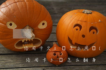 信用卡欠5萬怎么周轉(zhuǎn)-欠信用卡5萬怎么翻身