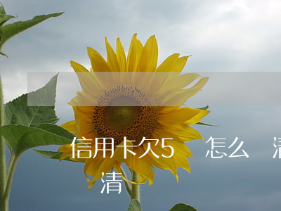 信用卡欠5萬怎么還清-信用卡欠5萬怎么還清
