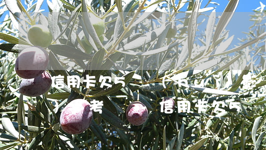 信用卡欠5萬會(huì)影響公務(wù)員考試嗎-信用卡欠5萬會(huì)影響公務(wù)員考試嗎知乎
