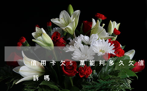 信用卡欠5萬能判多久(欠信用卡5萬會被起訴嗎)